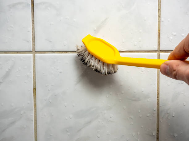 Best Emergency Mold Removal  in Kitty Hawk, NC