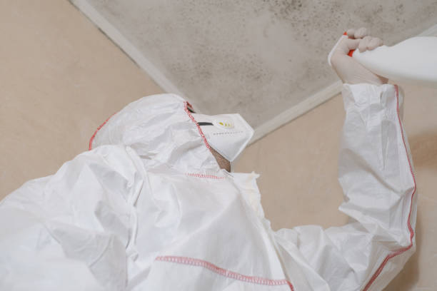 Best Certified Mold Removal  in Kitty Hawk, NC