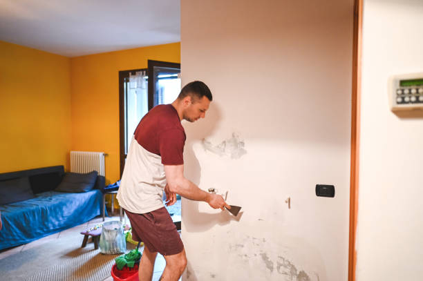 Best Affordable Mold Removal  in Kitty Hawk, NC
